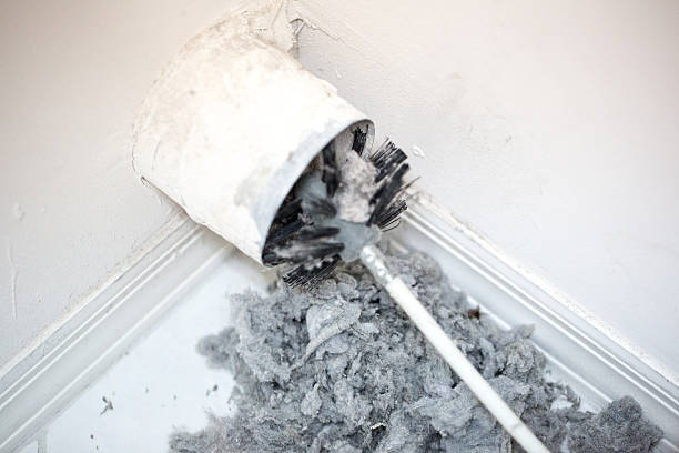 Best Local Air Duct Cleaning Services  in Welcome, SC